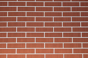 Красный (бархат) 1 NF